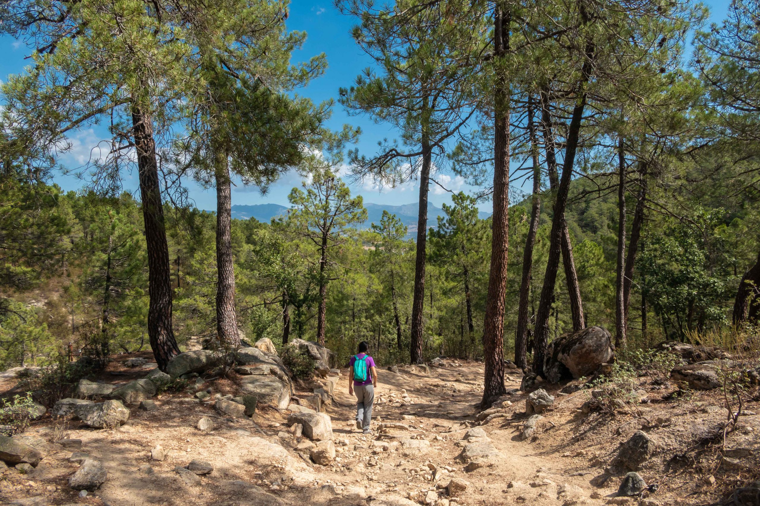 The ULTIMATE Sierra De Guadarrama National Park Guide