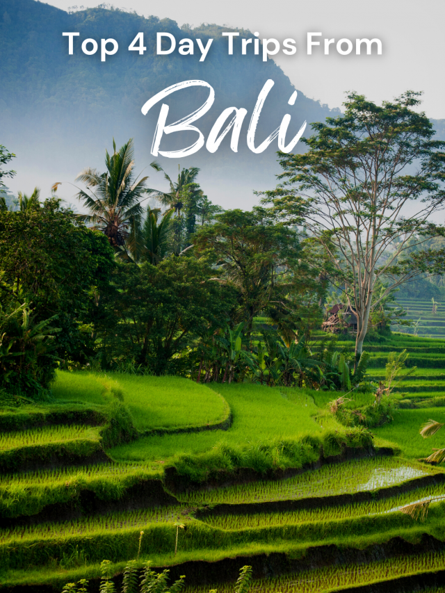 Bali: Top 4 Day Trips You Must Take - Headout Blog