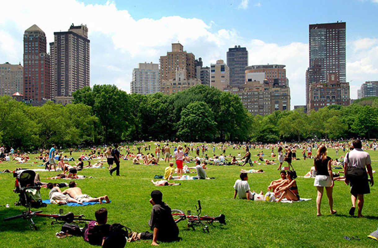 Summer in new york. Центральный парк Нью-Йорк пикник. Пикник в Центральном парке Нью Йорка. Ресторан в Центральном парке Нью Йорк. Овечий луг в Центральном парке.