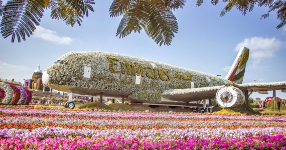 dubai miracle garden