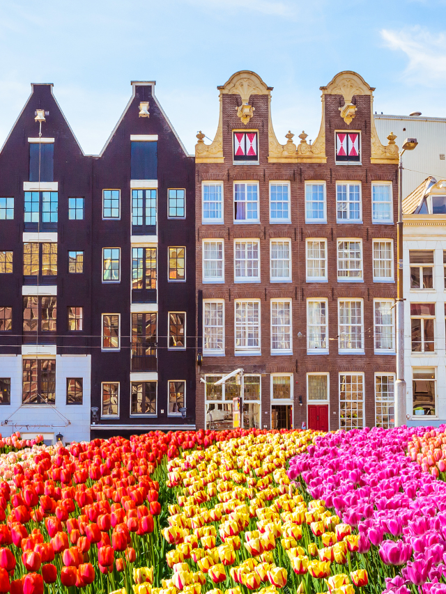 Top 10 Landmarks To Visit In Amsterdam - Headout Blog